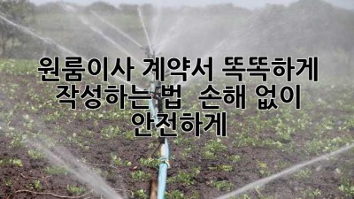 원룸이사 계약서 똑똑하게 작성하는 법 📝: 손해 없이 안전하게!