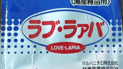 우리 강아지, 러브라바 사료 먹고 털이 촤르르✨