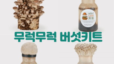 득템찬스! 무럭무럭배지느타리 솔직 후기🍄 (ft. 할인정보)